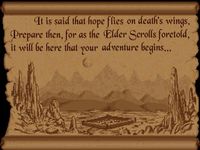 une photo d'Ã©cran de The Elder Scrolls - Arena sur PC